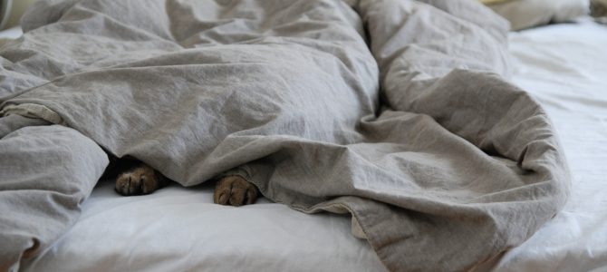 Den skandinaviska hemligheten för god sömn stavas kontinentalsäng